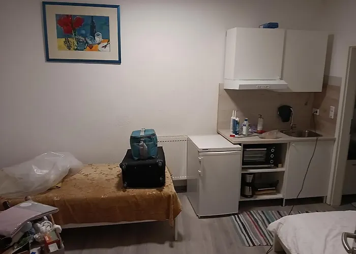 Ruhig Gelegene Am Schlosspark Wiesbaden