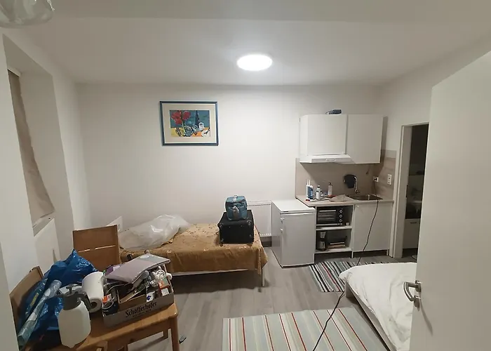 Ruhig Gelegene Am Schlosspark Wiesbaden